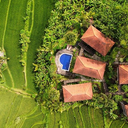 Barong Villas Sidemen  Eksteriør bilde