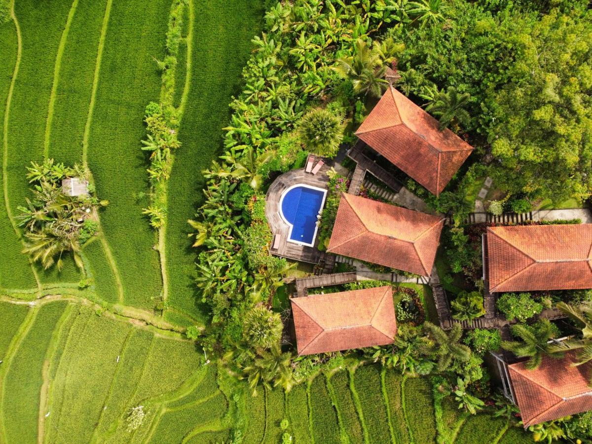 Barong Villas Sidemen  Eksteriør bilde